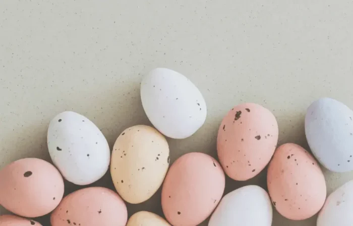 Feature Image - Eggs